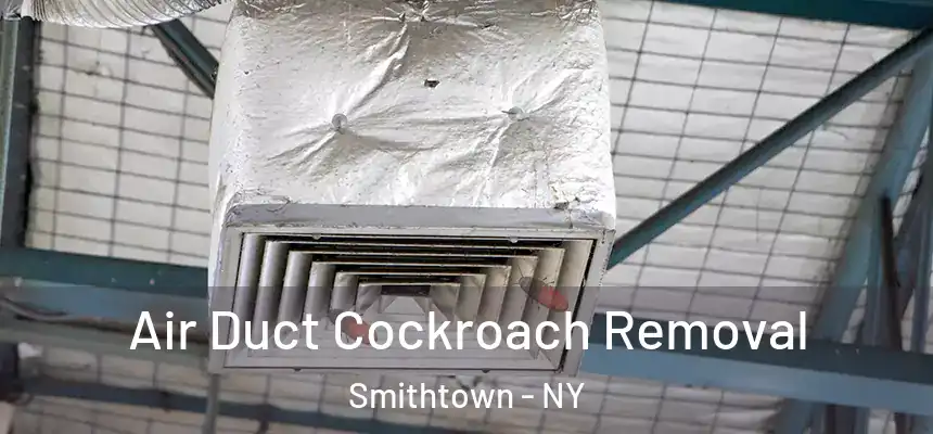  Air Duct Cockroach Removal Smithtown - NY