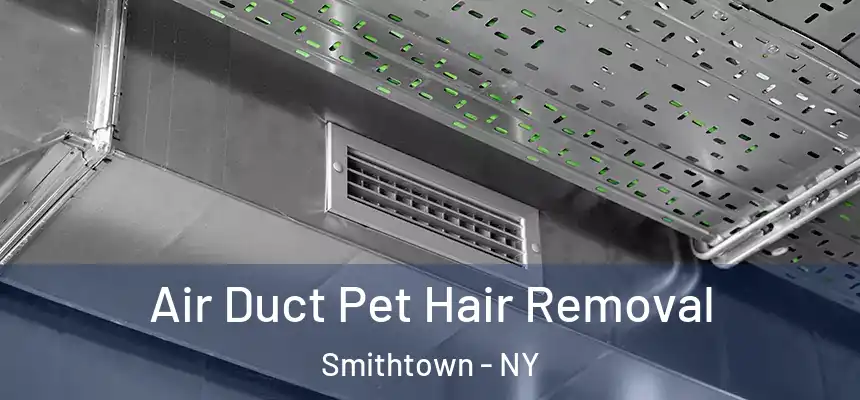  Air Duct Pet Hair Removal Smithtown - NY