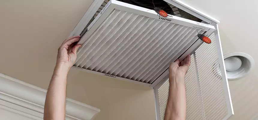 Preventive Cockroach-Proofing for Ducts in Smithtown