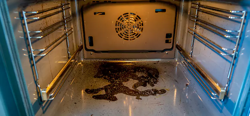 Our Dryer Vent Mold Cleaning Services in Smithtown, NY