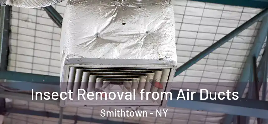 Insect Removal from Air Ducts Smithtown - NY