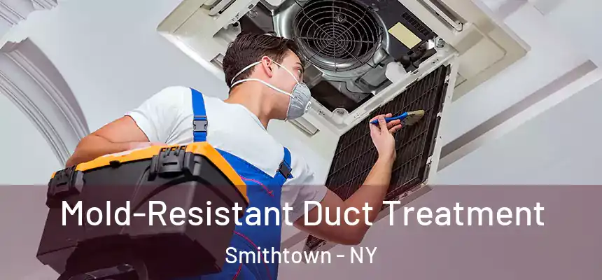  Mold-Resistant Duct Treatment Smithtown - NY