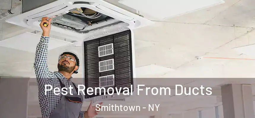  Pest Removal From Ducts Smithtown - NY