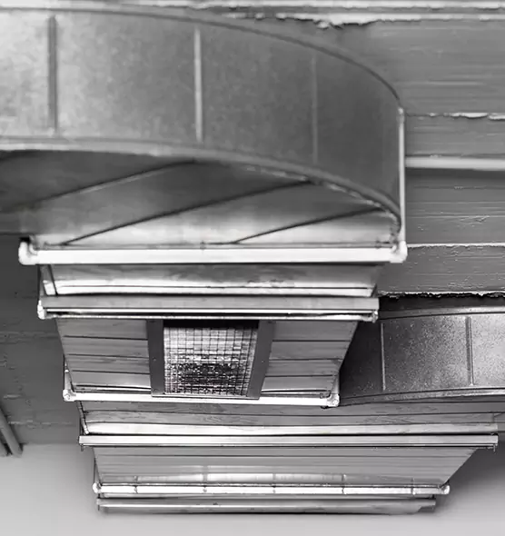 Professional Air Duct Pet Hair Removal in Smithtown, NY