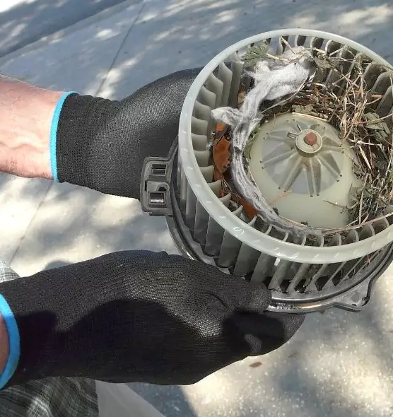 About Air Duct Rat Removal in Smithtown, NY