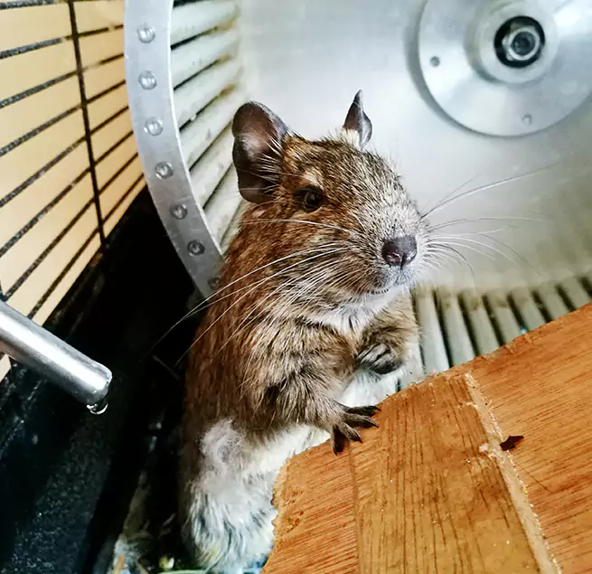 Why Homeowners & Businesses Trust Us Smithtown, NY