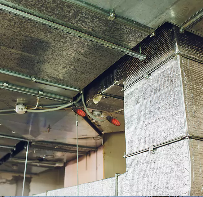 Why Homeowners & Businesses Trust Us Smithtown, NY?