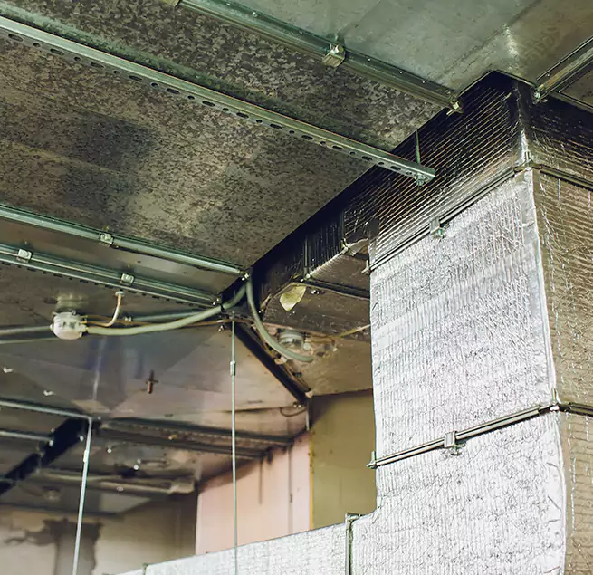 Why Homeowners & Businesses Trust Us in Smithtown, NY?